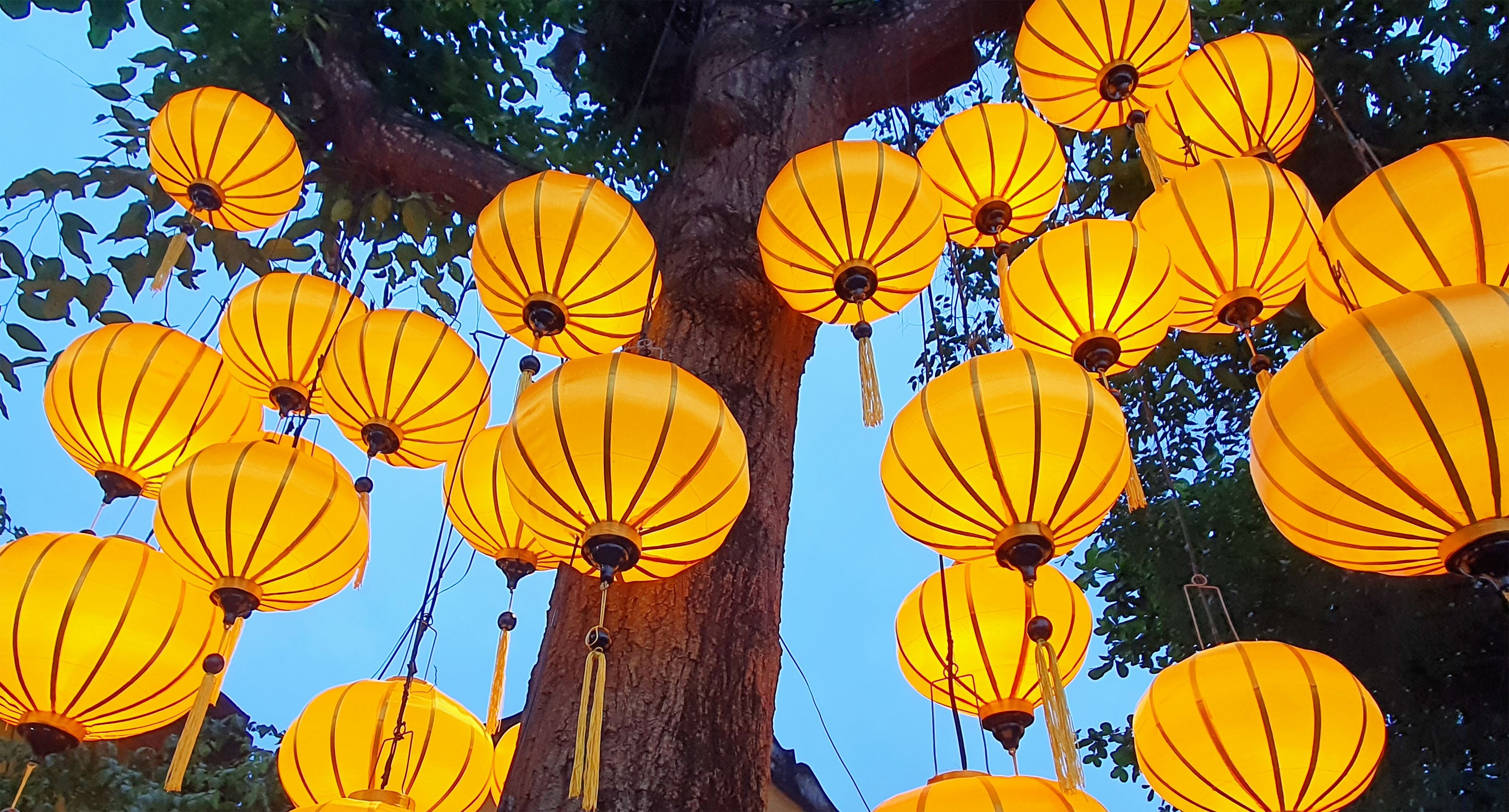 Vietnamese lanterns shop for sale