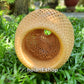 Bamboo Lamp (37cm), Ceiling light, Rattan Lamp for Ceiling hanging Living room, Kitchen Decoration, Bedroom decoration