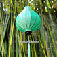 Vietnamese lanterns 45cm for wedding decor - Set of 6 pcs - Bamboo lanterns for Garden decor Porch decor Events decoration Christmas