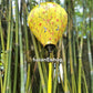 Vietnam silk lanterns - 3D printed fabric with flowers - Lanterns for wedding - lanterns for wedding decor - lanterns for outside party