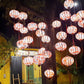 20 pcs of Vienamese Bamboo Silk Lanterns For Restaurant Decor Coffee Shop Decor Flower Lanterns