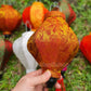 Set 8 pcs Vietnam Silk Lanterns 22cm for Garden Decorative Lanterns for Wedding Decorative Patio Decor