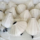 Set 20 Ivory/White Silk Lanterns 55 cm for wedding party decor, Traditional lanterns for Garden Balcony Decoration