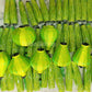 Set 30pcs Vietnamese silk lanterns 40 cm for Wedding Party decoration, Restaurant decor, Outside Party decor